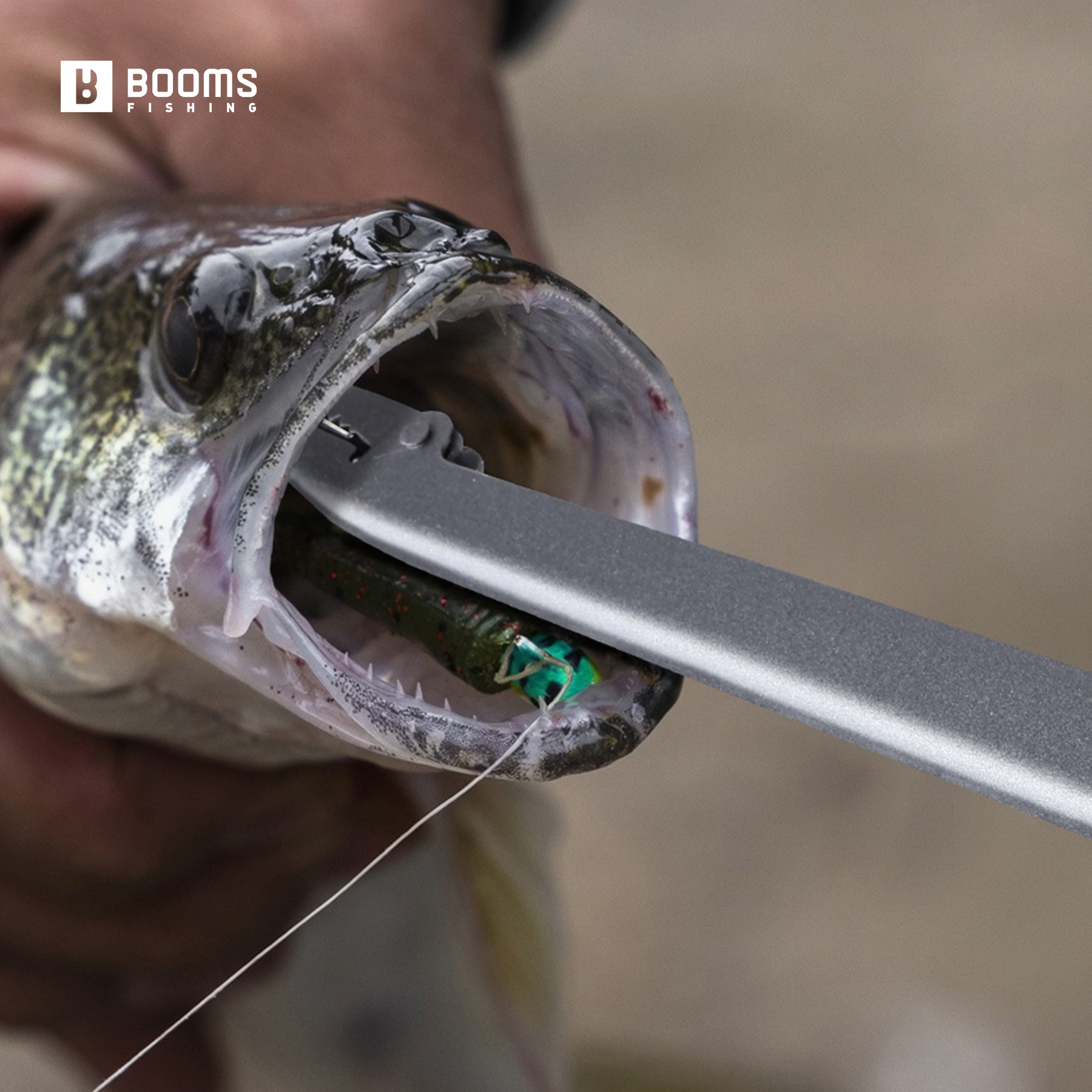 Booms Fishing 25cm Carbon Stee - Fishing Equipment Australia บทวิจารณ์และราคา