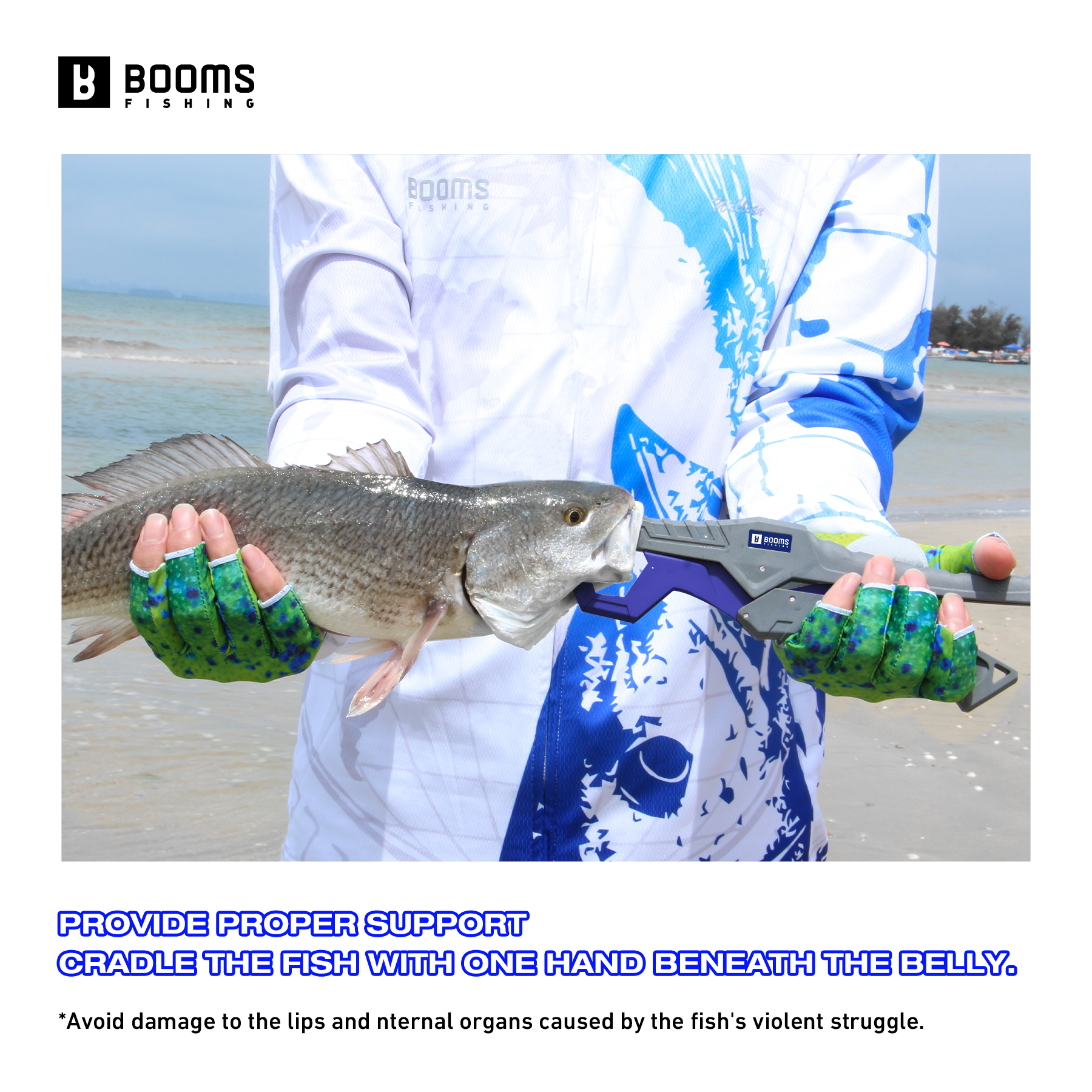 Booms Fishing 23cm Pliers and  - Fishing Equipment Australia บทวิจารณ์และราคา