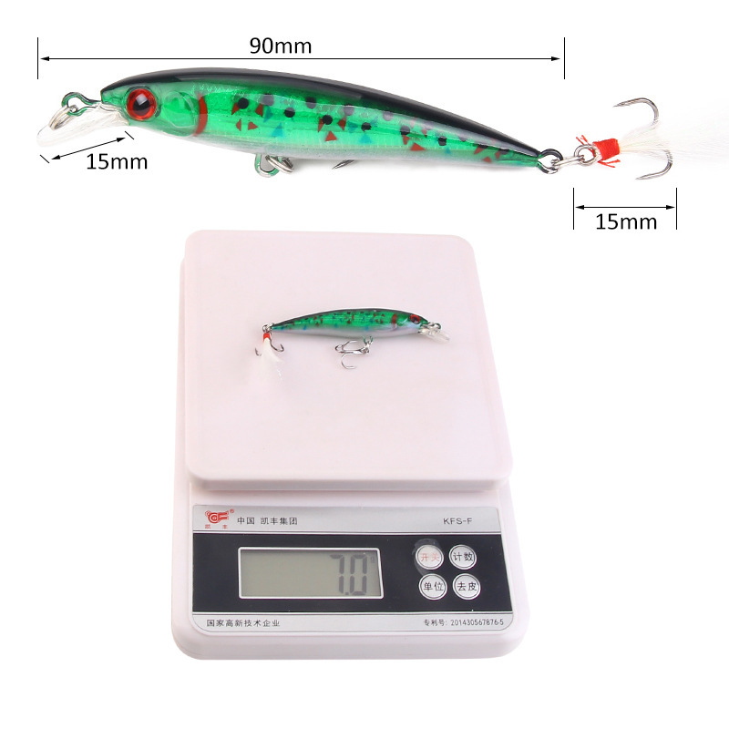 10 Colors Minnow Fishing Lure  - Fishing Equipment Japan บทวิจารณ์และราคา